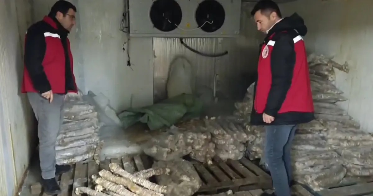 Manisa’da 4 milyon liralık bozuk kokoreç şoku! Gıda denetiminden büyük darbe